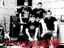 The Black Cat Bone Band
