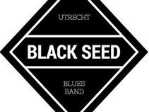 BLACK SEED (NL)