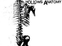 Hollows Anatomy