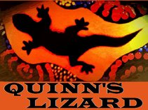 Quinn's Lizard