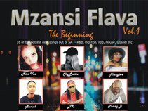 Mzansi Flava Vol. 1