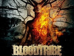 Image for Blood Tribe