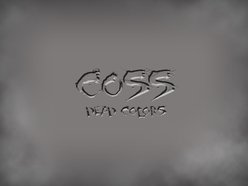 Image for COSS