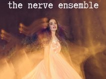 The Nerve Ensemble