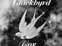 Blackbyrd  Vox