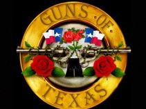 Guns of Texas - GnR TRIBUTE - DFW, TEXAS
