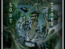 LoSt Tiger
