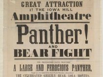 Panther! And Bear Fight
