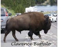 Clarence Buffalo
