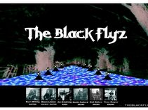 The Black Flyz