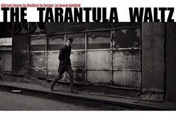 Image for The Tarantula Waltz