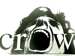 Image for Crow