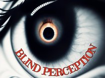 Blind Perception