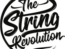 The String Revolution
