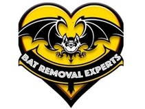 Bat Removal Experts