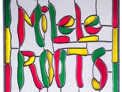 Image for Milele Roots