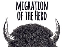 Migration of the Herd