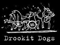 Drookit Dogs