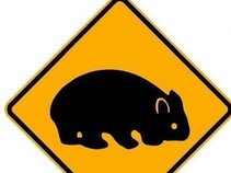Wombat Junction