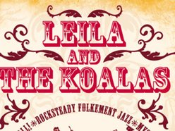 Image for Leila and the Koalas