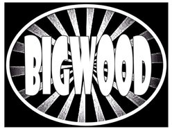 Image for BIGWOOD