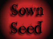 Sown Seed Music
