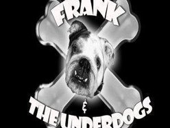 Image for Frank and the Underdogs