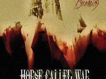 Horse Called War