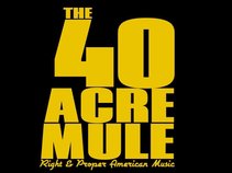 The 40 Acre Mule