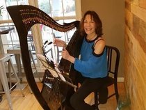 Lydia Hammond- harp/guitar/vocals/songwriter