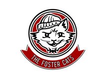 The Foster Cats