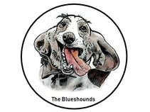 The Blueshounds