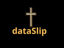 dataSlip