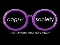 ELTON JOHN Rock Tribute DOGS OF SOCIETY