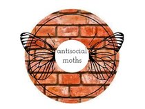 antisocial moths