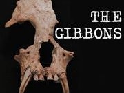 The Gibbons
