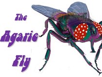 The Agaric Fly