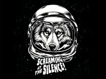 Screaming At The Silence