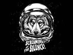 Image for Screaming At The Silence