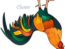 Cluster: My Collection of Songs