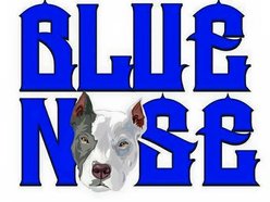 Image for Blue Nose Music