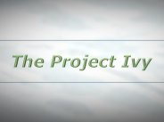 The Project Ivy