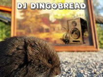 DJ Dingobread