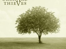 The Orchard Thieves