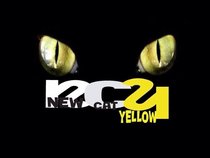 New Cat Yellow