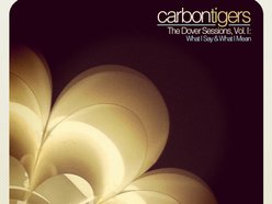 Image for Carbon Tigers