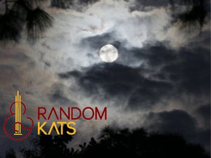 Random Kats