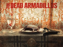 Image for The Dead Armadillos
