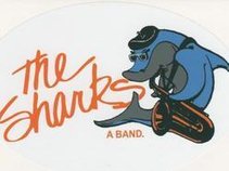 The Sharks Band