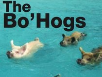 The Bo' Hogs